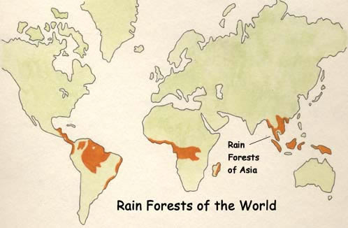 best of Annual rainfall rainforest Asian