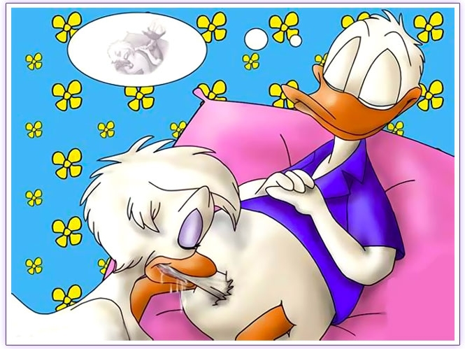 best of Duck blowjob Daisy