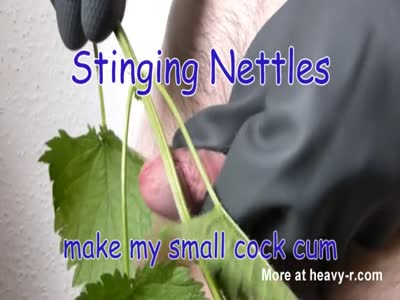 Nettle stinging bdsm