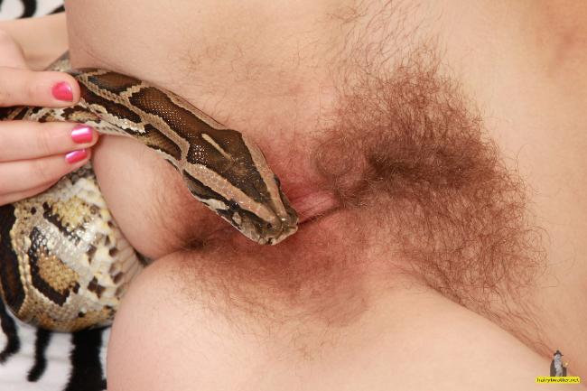 best of Snake sex